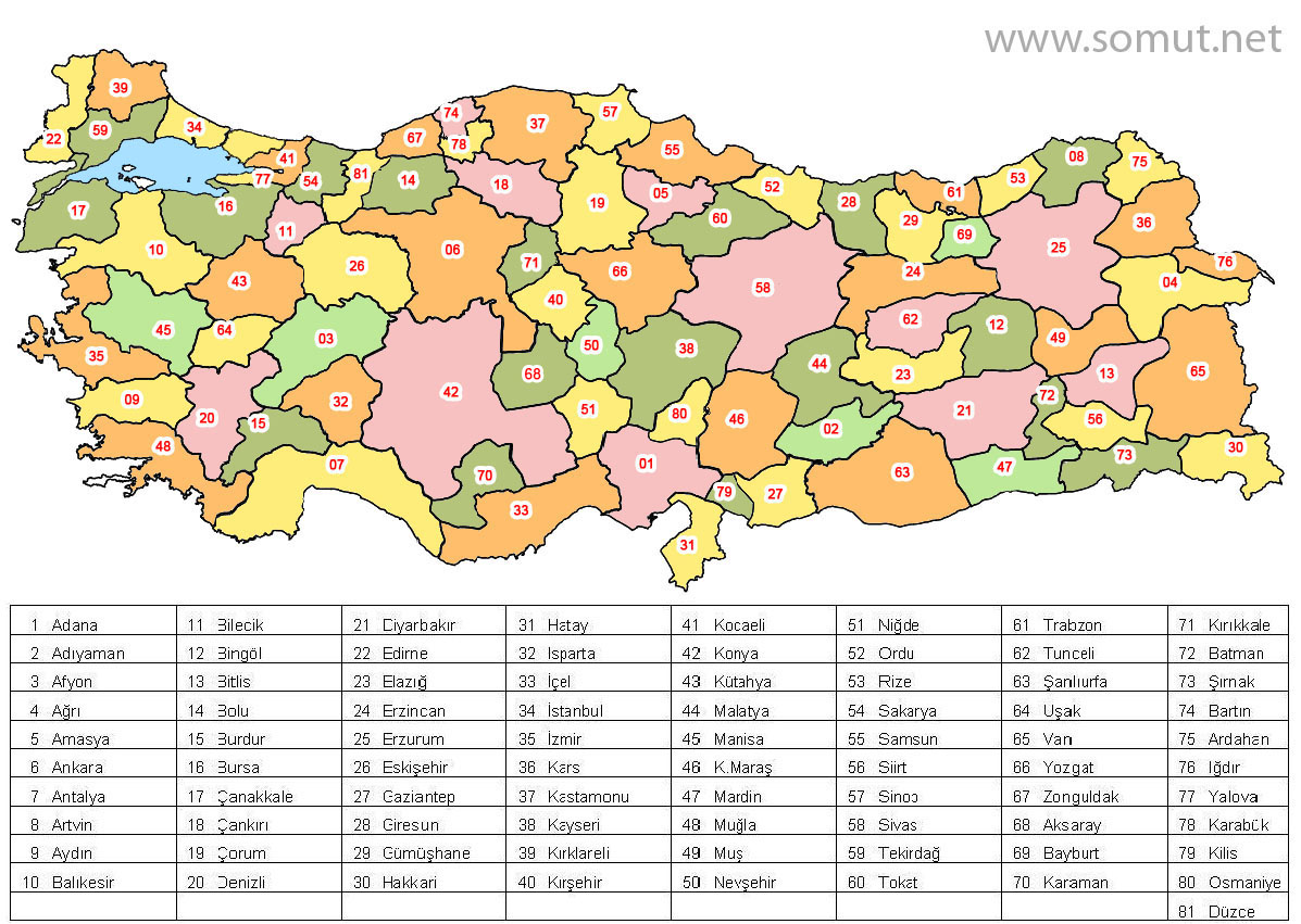 Türkiye Plaka Haritası — Somut.NET