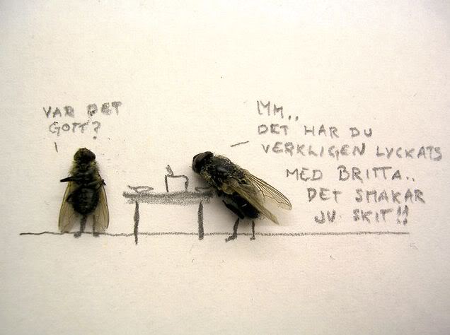 sinek komik Ölü sineklerin yaşamları